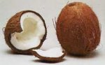 cocotero-coco-cocos.jpg