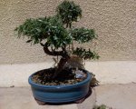 DSC00069.jpg