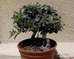 DSC00074.JPG