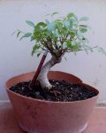 DSC00078.JPG