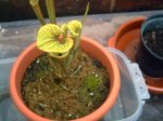 zoo 012012.jpg