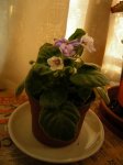 DSCN0328.JPG
