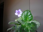 DSCN0210.JPG