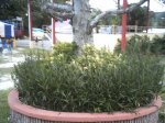 PICT0892.JPG