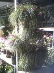PICT0641.JPG