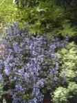 PICT0671.JPG