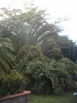 PICT0868.JPG