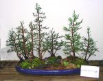 EPSN0023.JPG