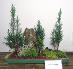 EPSN0022.JPG