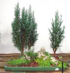 EPSN0024.JPG