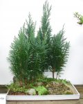EPSN0019.JPG