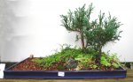EPSN0021.JPG