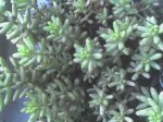 DSC00090.JPG