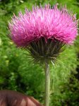 DSCN1601.JPG