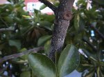 DSC00089.JPG