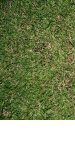 DSCF7398-1.JPG