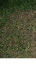 DSCF7396-1.JPG