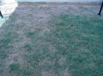 DSC00099.JPG