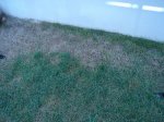 DSC00100.JPG