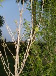 CAMPO 014.jpg