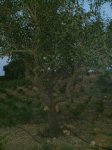 CAMPO 003.jpg