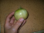 CAMPO 008.jpg