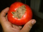 CAMPO 019.jpg
