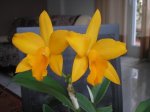 Image00043.JPG