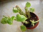 DSC01617.JPG