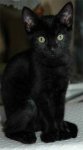 DSC_6438.jpg