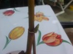 Dsc01405.jpg