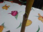 Dsc01407.jpg