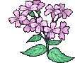 datflor3.gif