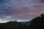 DSC_5458.jpg