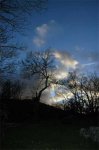 DSC_2995.jpg