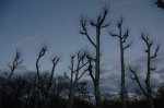 DSC_3048.jpg