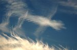 DSC_0176.jpg
