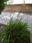 DSCN0670.JPG
