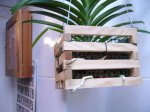 Resized_vanda-cesta.jpg