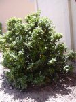 DSCN0700.JPG