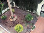Jardín.jpg