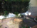 Imagen 002.jpg