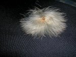 DSCN0805.JPG