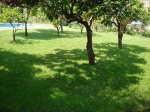 DSC00430.JPG