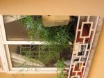 Web IMG_0002.jpg