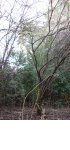 DSCN0601a.JPG
