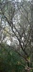DSCN0608a.JPG