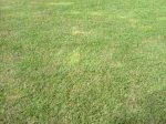 DSCF2086.JPG