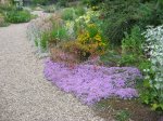 IMG_7865.jpg