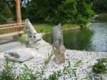 IMG_8253.jpg